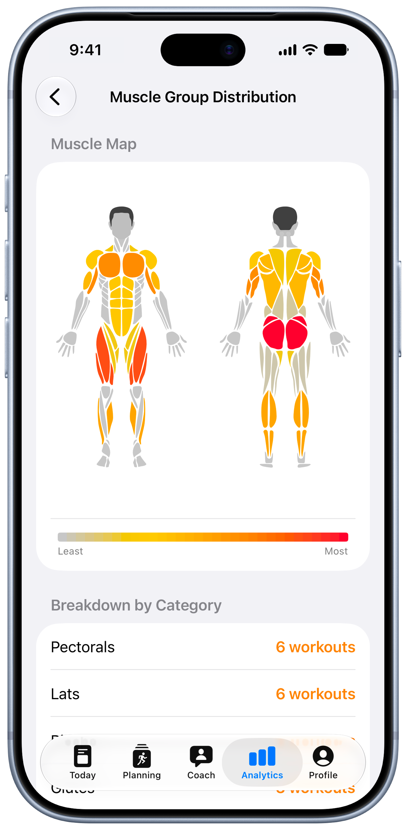 Muscle group distribution heatmap